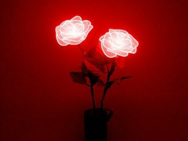 ❤️Vermelho❤️