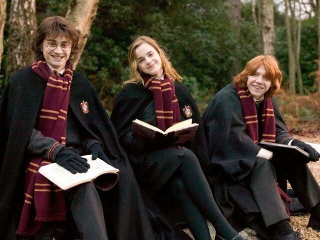 Quem seria seu crush em Harry Potter?