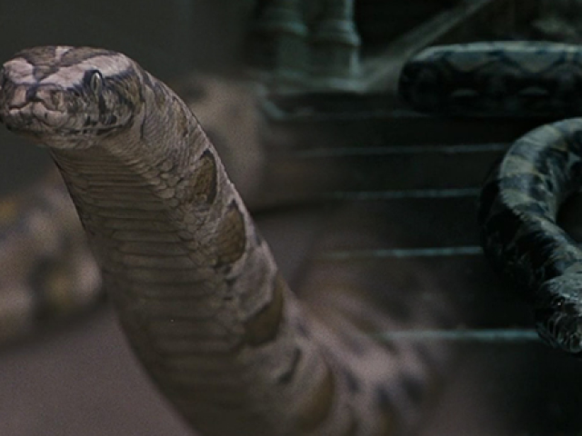 Nagini