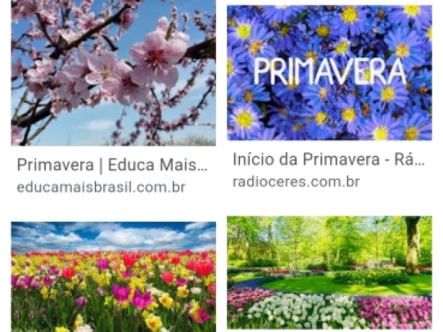 primavera