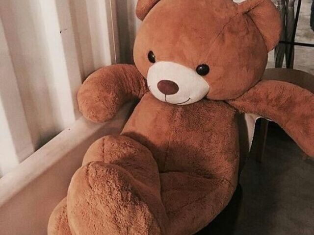 Um urso