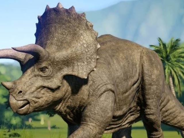 Triceratops