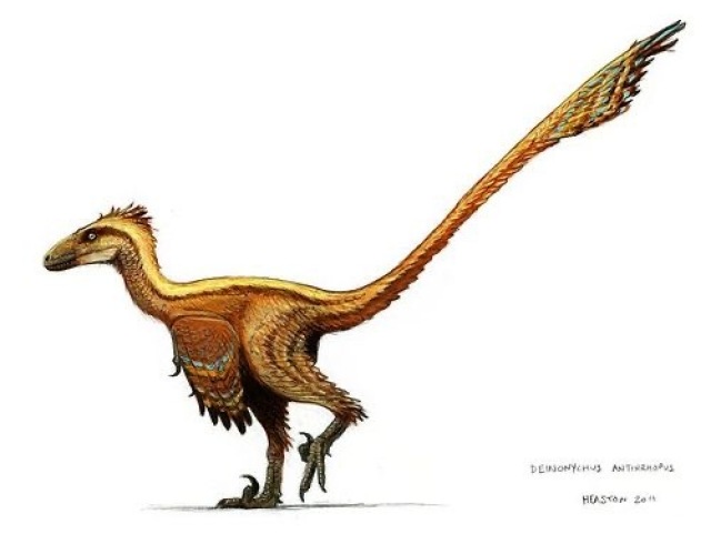 Deinonychus