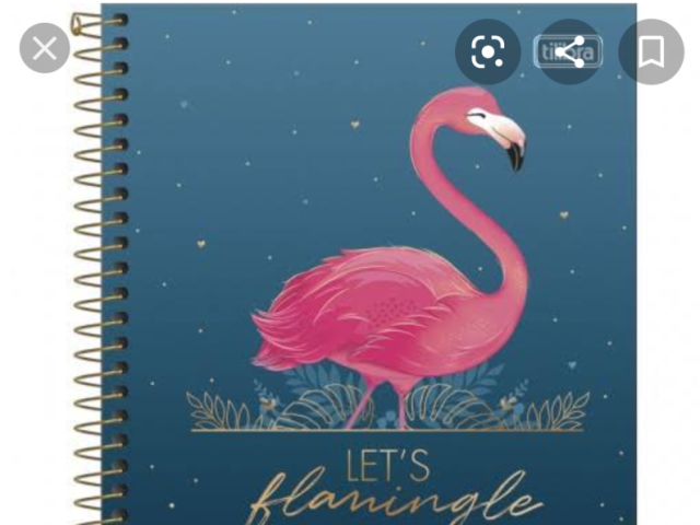 Caderno fofo