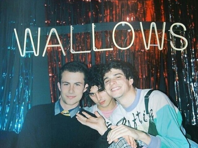 Wallows