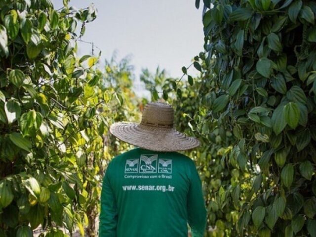 Agricultura e Pecuaria