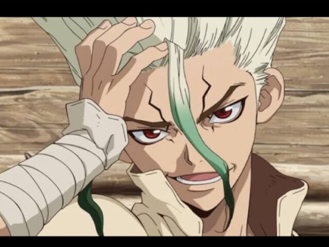 Dr Stone