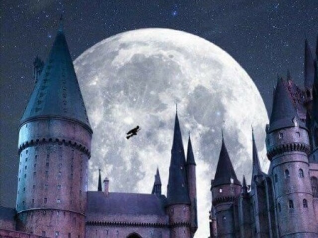Quiz Harry Potter