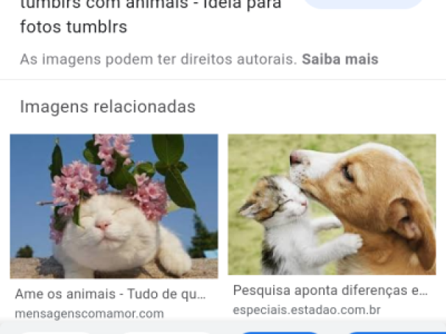 Não gosto de animais