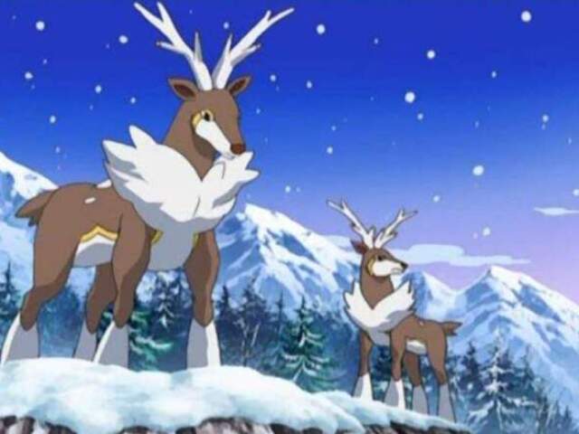 6. Sawsbuck (winter form)