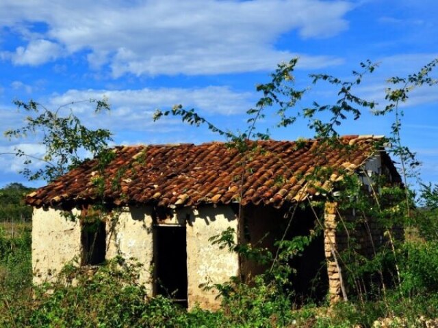 Em uma casa no meio do mato por 2 horas