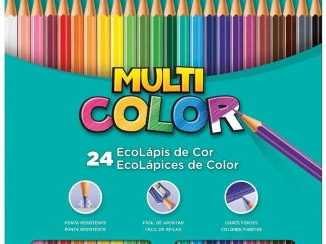 Lápis multi color 24