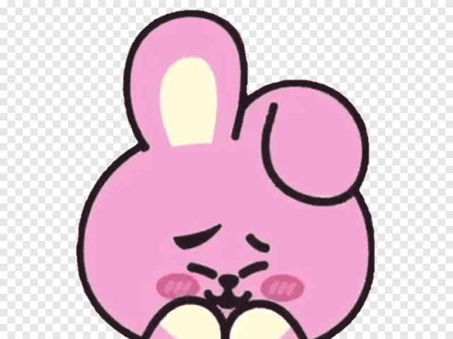 O bt21 do junkook (cooky)