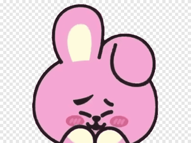 1. o bt21 do junkook (cooky)