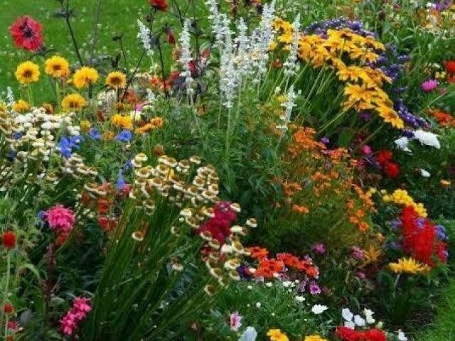 Em casa, perto da meu jardim💐