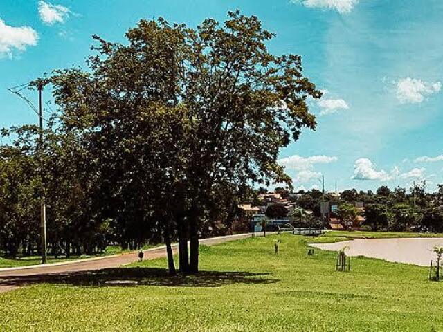 Em um parque✨