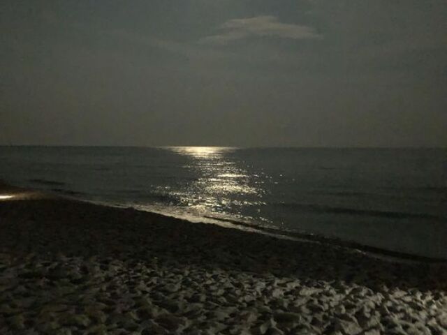 Uma Praia Deserta A noite