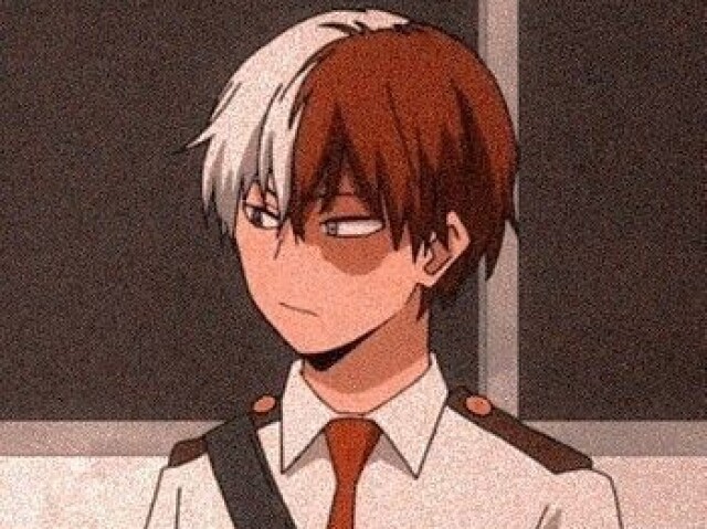 Shoto Todoroki🔥❄