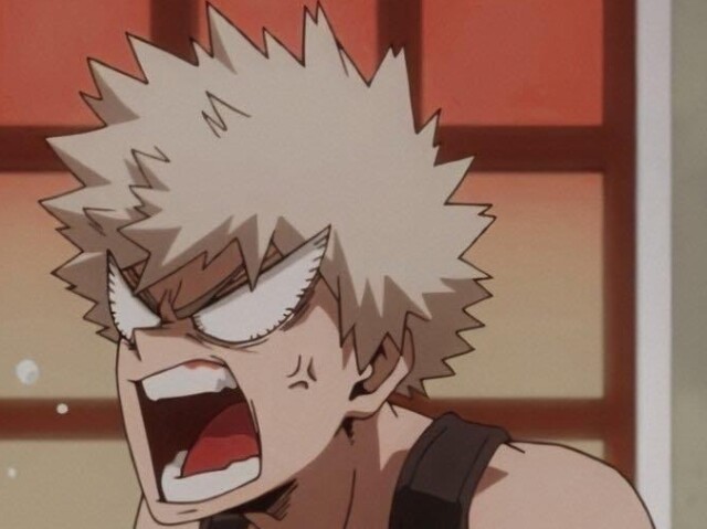 Katsuki Bakugou (Pincher🐶)