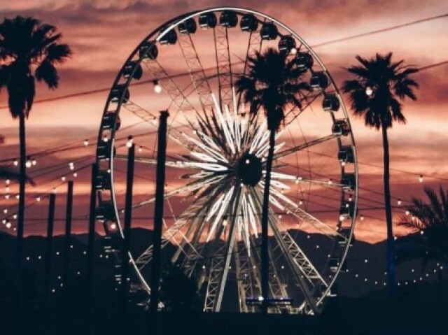 Tumblr