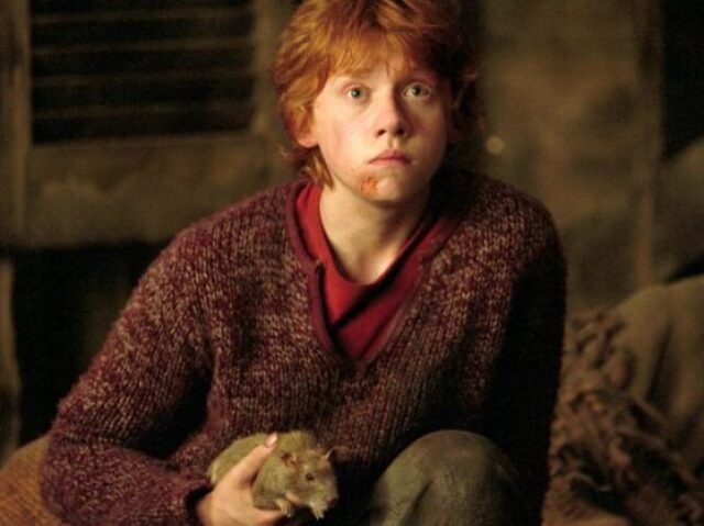 Rony Weasley