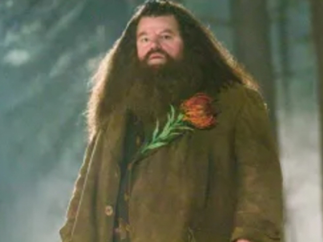 Esta fora do castelo com o Hagrid