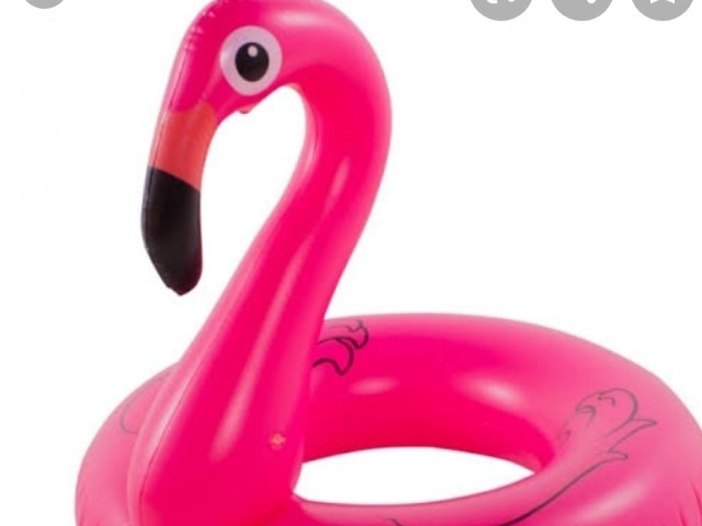 Flamingo