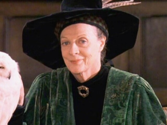 Minerva Mcgonagall- transfiguração