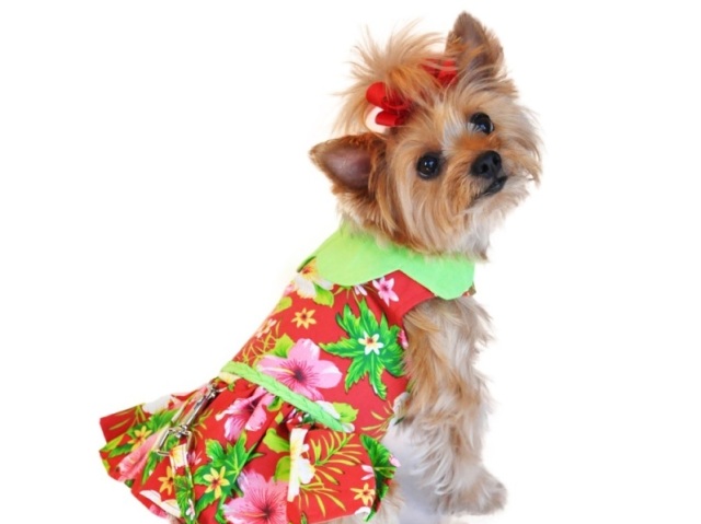 Vestido