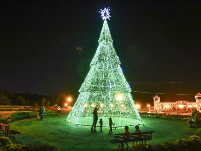 Monte sua árvore de natal