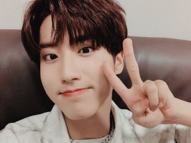 Jisung (stray kids)