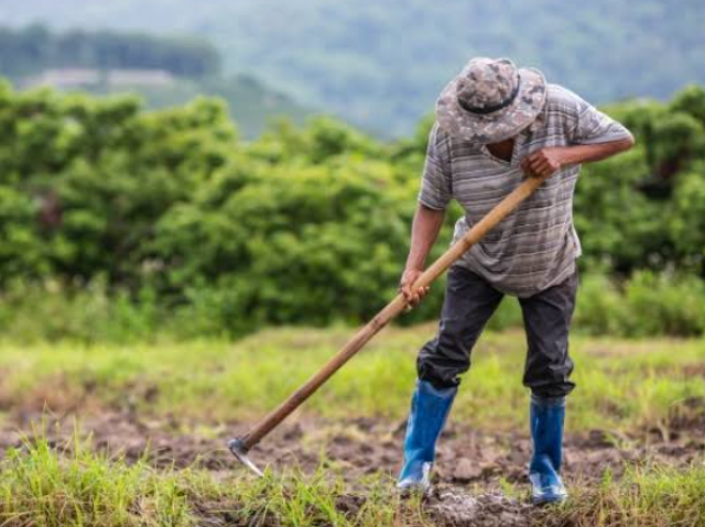 Agricultor