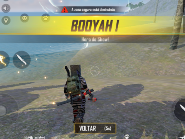 Free Fire