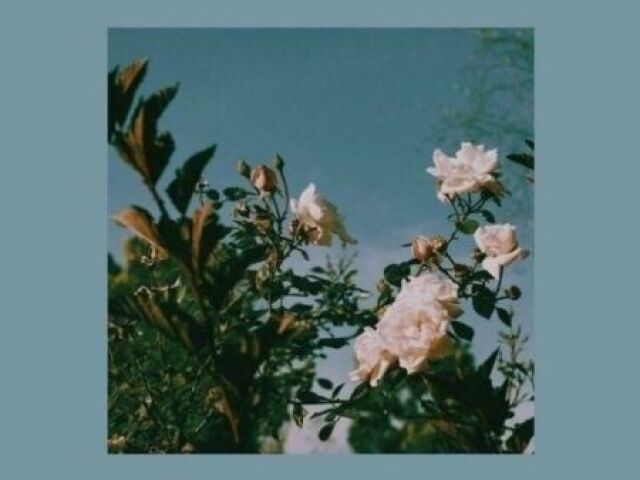 ♡ Escolha imagens e te direi uma música para ouvires agora! ♡