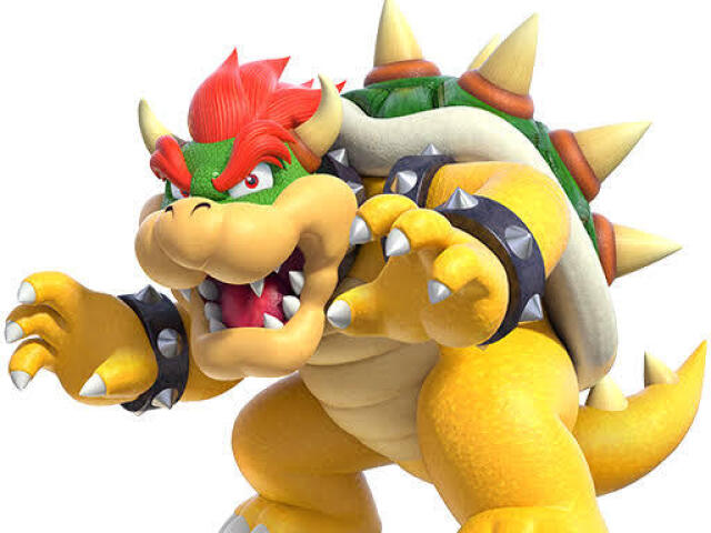 Bowser