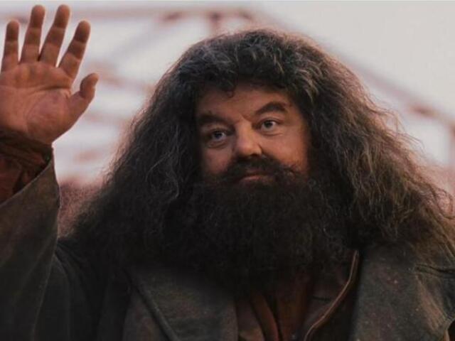 Hagrid: extrovertido, amigo e Bagunceiro