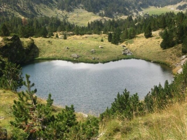 Lago