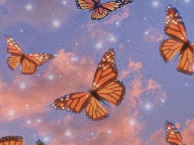 <<🦋>>