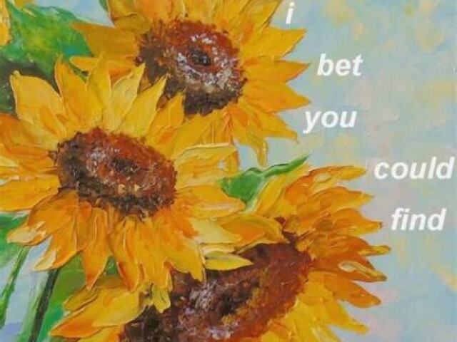 <<🌻>>