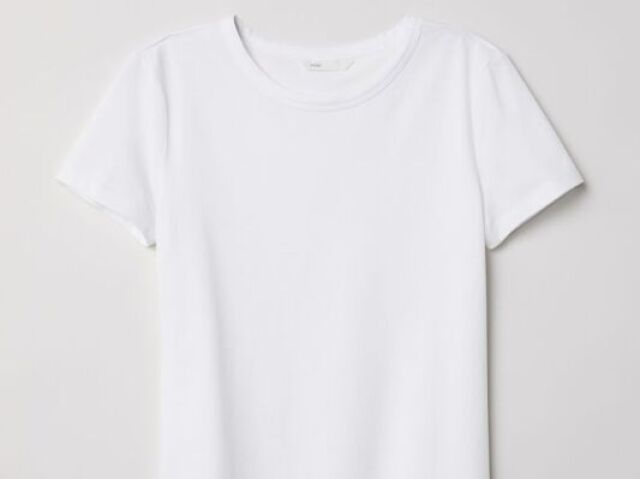 camisa(femenino e masculino)