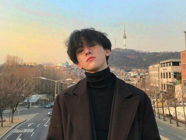 O seu oppa coreano seria:
