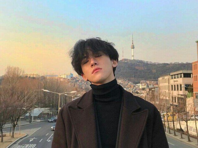 O seu oppa coreano seria: