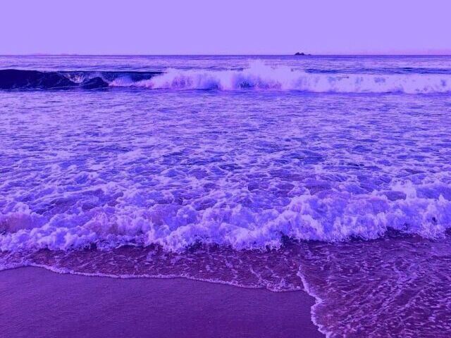 roxo