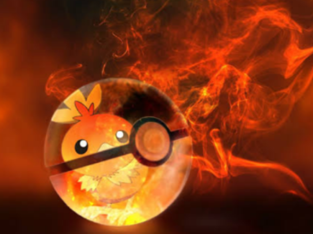 Torchic