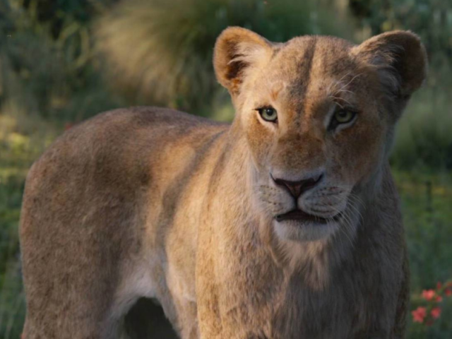 Nala