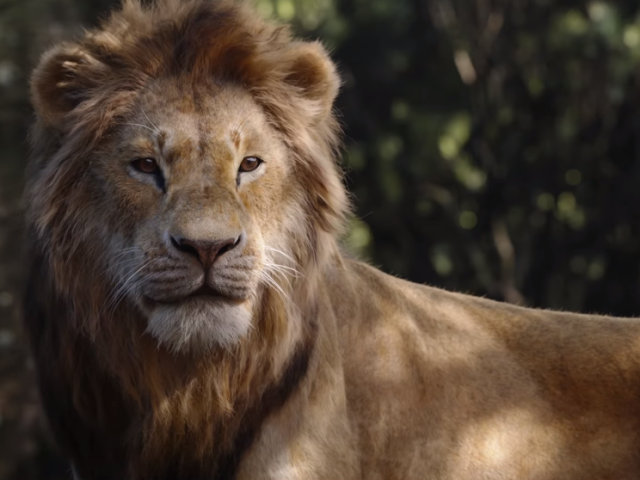 Simba