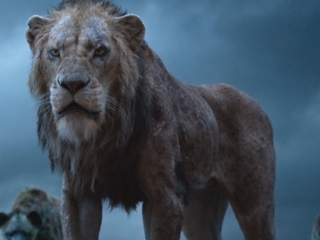 Scar