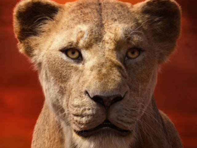 Sarabi
