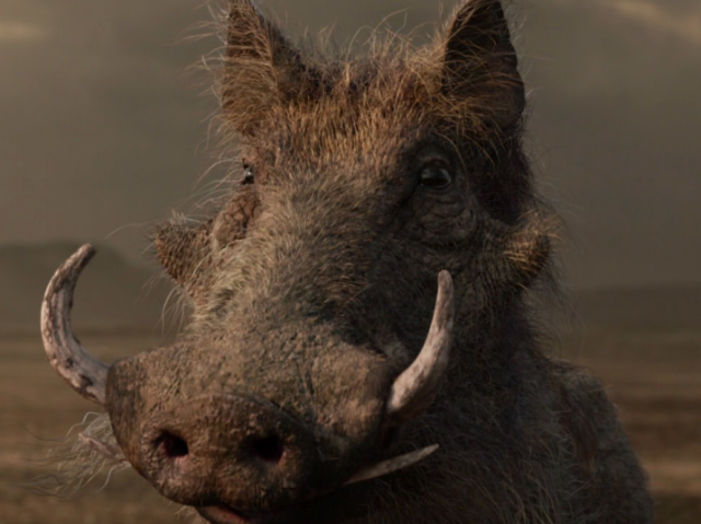 Pumba