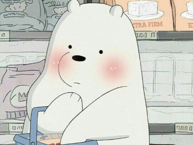 Urso Polar